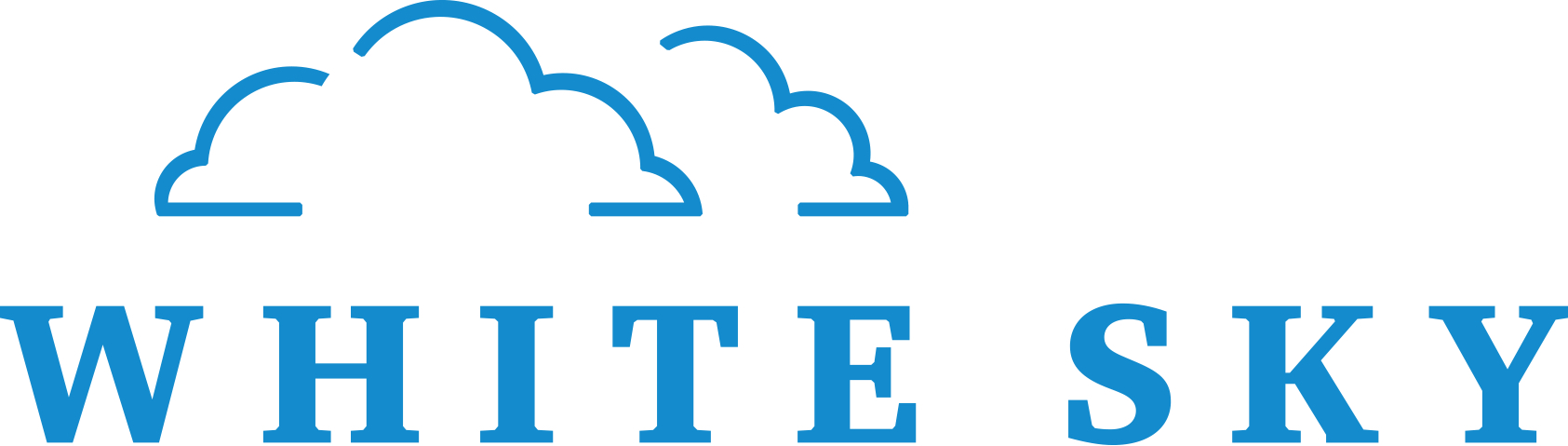 White Sky Stimulus Support Summary