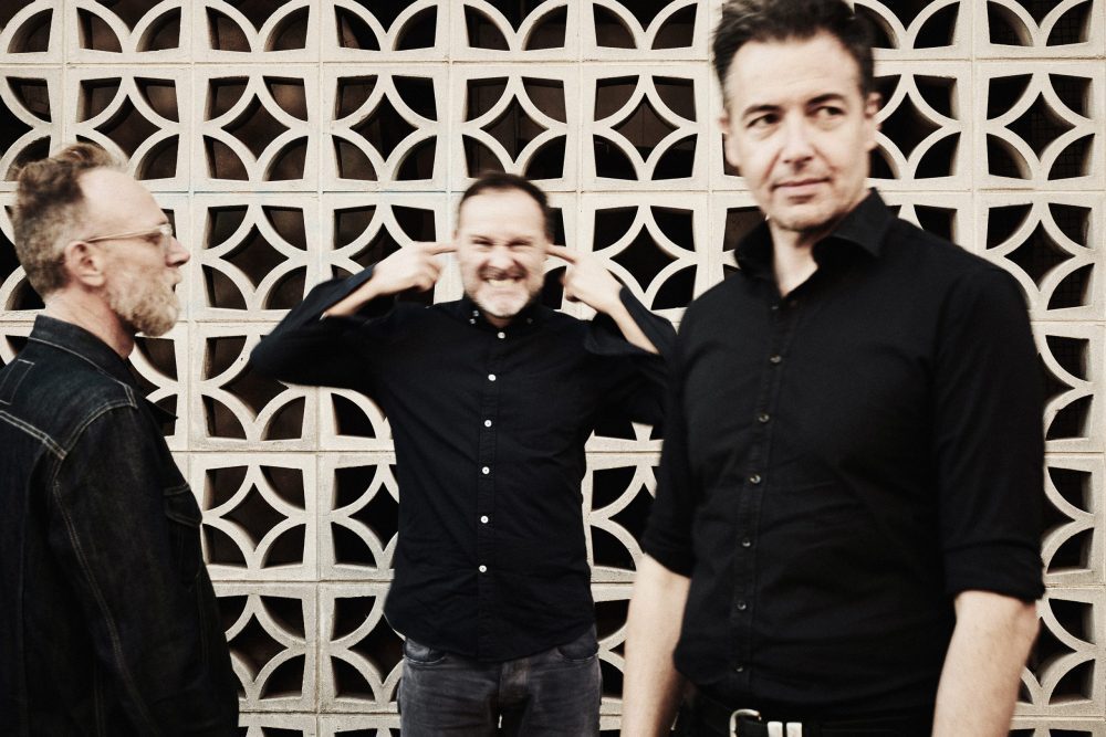 Feature: THE ELECTORATE - You Don't Have Time to Stay Lost