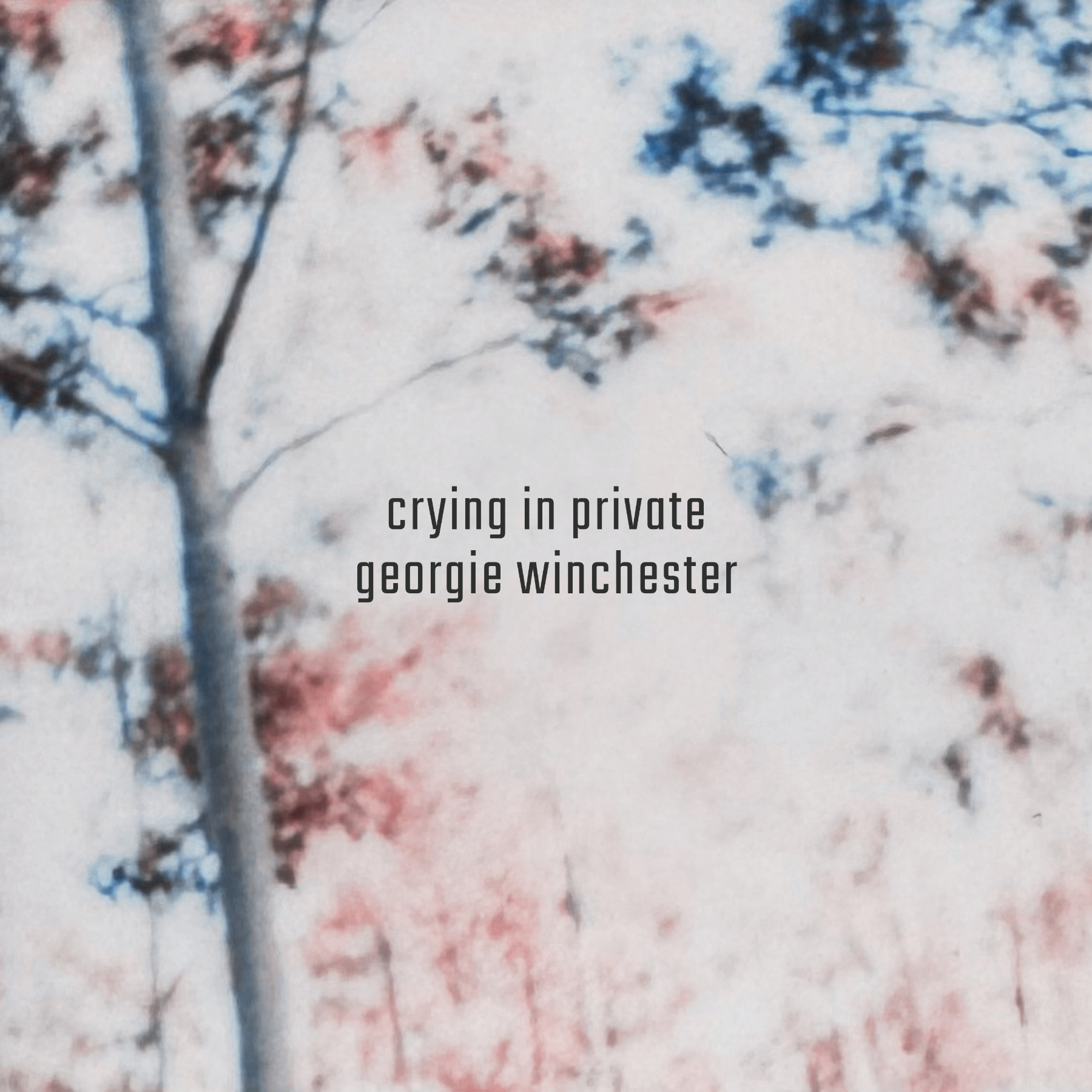Crying In Private Single Cover Crying In Private Single Cover